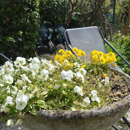 Il Giardino Nel Parco R&B Hotel Bologna Eksteriør billede