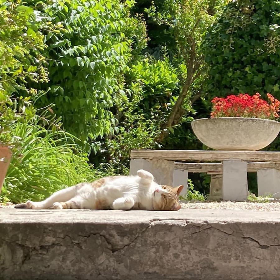 Il Giardino Nel Parco R&B Hotel Bologna Eksteriør billede