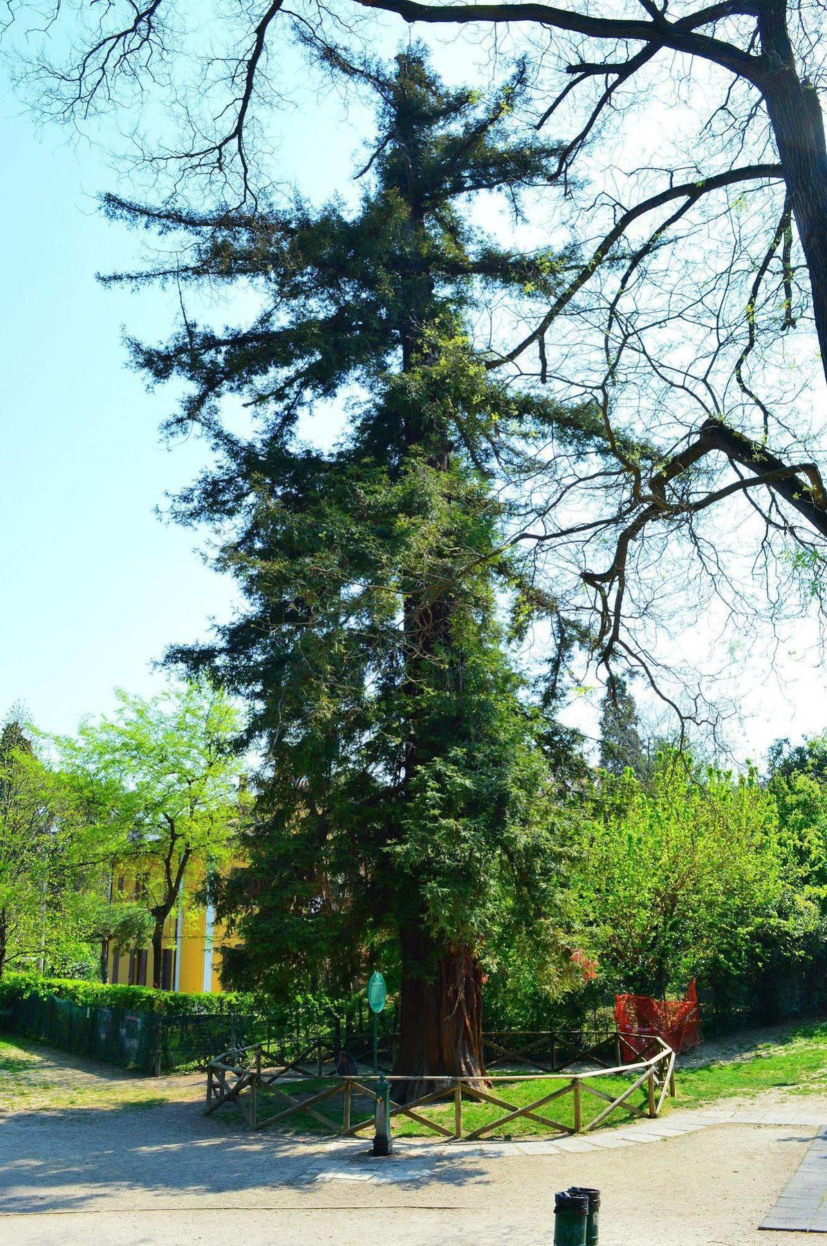 Il Giardino Nel Parco R&B Hotel Bologna Eksteriør billede